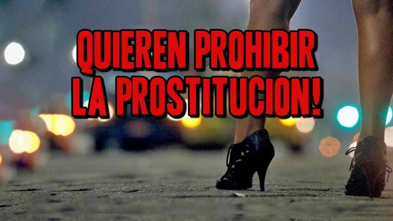 ¡Quieren prohibir la prostitución!